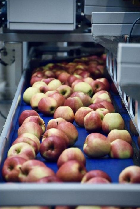 Perishables & quarantine